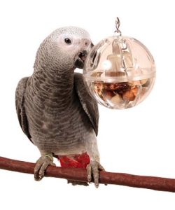 Buffet Ball with Bell - Tough Foraging Toy